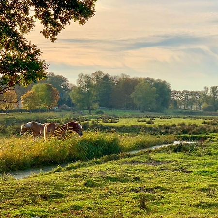 Ferienwohnungen Klein Kapelle Gingst Luaran gambar