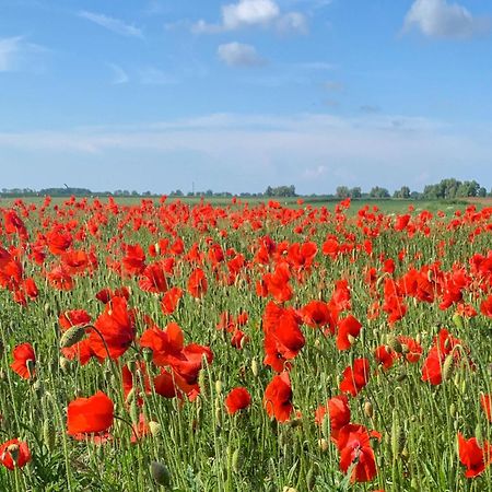 Ferienwohnungen Klein Kapelle Gingst Luaran gambar
