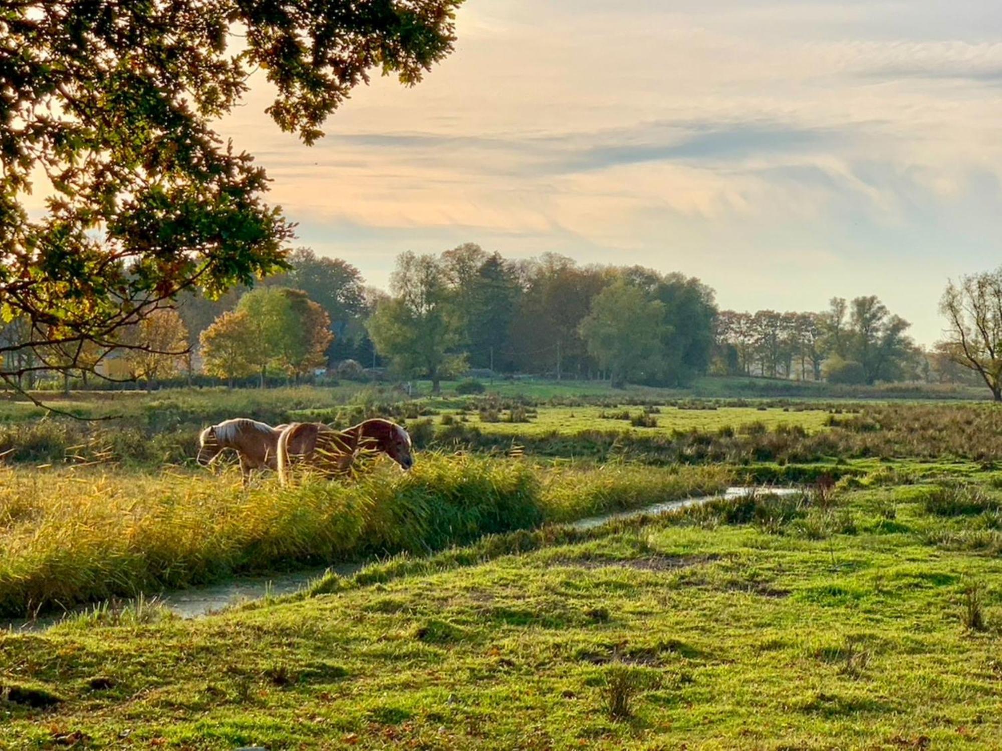 Ferienwohnungen Klein Kapelle Gingst Luaran gambar